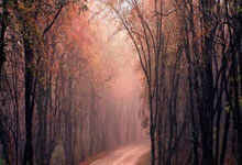 [高尔夫]亚巡菲律宾公开赛次轮肖博文冲上T10 梁文冲出局.