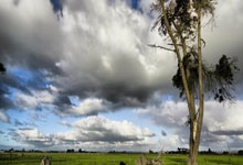 海星体育官网:哈尔滨第九届亚洲冬季运动会主火炬点燃新华社.