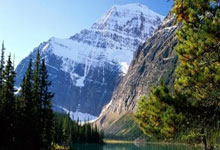 海星体育官网:评分津门虎:巴顿高水平,萨尔瓦多后腰模板,罗斯续带刀后卫传统.